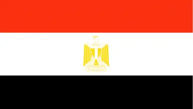 Egypt’s Sisi and Belgian companies discuss green hydrogen