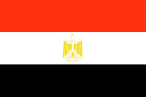 Egypt’s Sisi and Belgian companies discuss green hydrogen