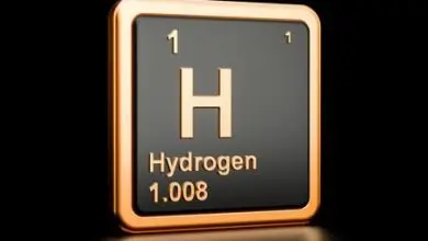 The growing importance of platinum in the hydrogen economy discussion with WPIC