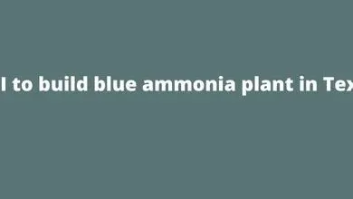 OCI to build blue ammonia plant in Texas