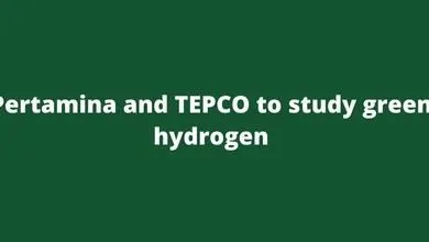 Pertamina and TEPCO to study green hydrogen