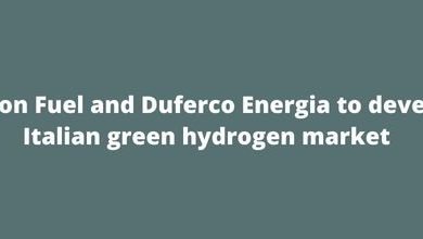 Fusion Fuel and Duferco Energia to develop Italian green hydrogen market