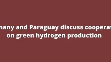 Germany and Paraguay discuss cooperation on green hydrogen production