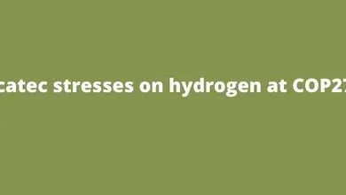 Scatec stresses on hydrogen at COP27