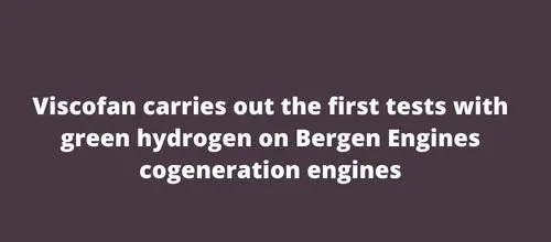 Viscofan carries out the first tests with green hydrogen on Bergen Engines cogeneration engines