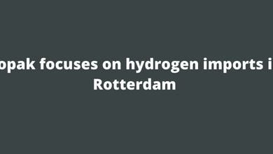 Vopak focuses on hydrogen imports in Rotterdam