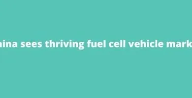 China sees thriving fuel cell vehicle market