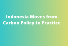 Indonesia Moves from Carbon Policy to Practice