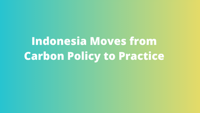 Indonesia Moves from Carbon Policy to Practice