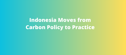 Indonesia Moves from Carbon Policy to Practice