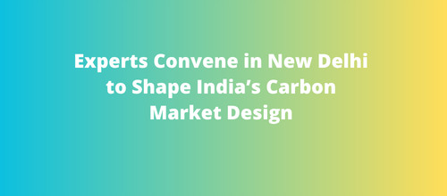 Experts Convene in New Delhi to Shape India’s Carbon Market Design