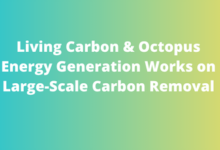 Living Carbon Secures $500 Million Deal with Octopus Energy Generation for Large-Scale Carbon Removal