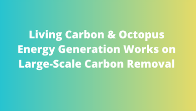 Living Carbon Secures $500 Million Deal with Octopus Energy Generation for Large-Scale Carbon Removal