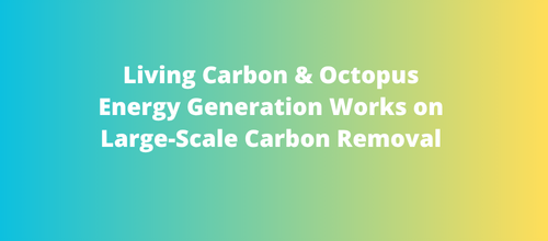 Living Carbon Secures $500 Million Deal with Octopus Energy Generation for Large-Scale Carbon Removal
