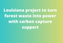 Louisiana project to turn forest waste into power with carbon capture support
