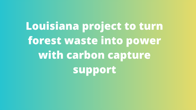 Louisiana project to turn forest waste into power with carbon capture support