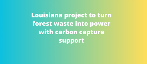 Louisiana project to turn forest waste into power with carbon capture support