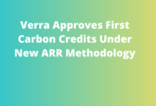 Verra Approves First Carbon Credits Under New ARR Methodology