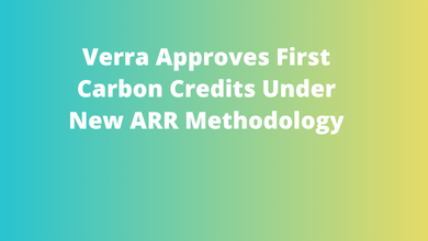 Verra Approves First Carbon Credits Under New ARR Methodology