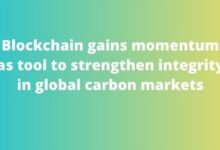 Blockchain gains momentum as tool to strengthen integrity in global carbon markets
