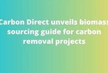 Carbon Direct unveils biomass sourcing guide for carbon removal projects