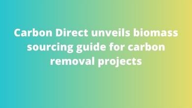 Carbon Direct unveils biomass sourcing guide for carbon removal projects