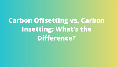 Carbon Offsetting vs. Carbon Insetting What’s the Difference