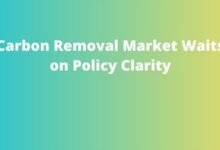 Carbon Removal Market Waits on Policy Clarity