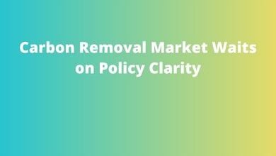 Carbon Removal Market Waits on Policy Clarity