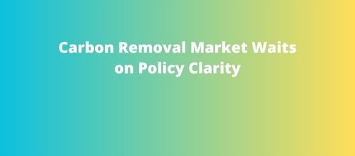 Carbon Removal Market Waits on Policy Clarity