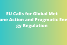 EU Calls for Global Methane Action and Pragmatic Energy Regulation
