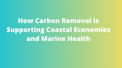 How Carbon Removal Is Supporting Coastal Economies and Marine Health