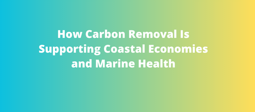 How Carbon Removal Is Supporting Coastal Economies and Marine Health