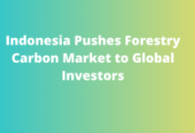 Indonesia Pushes Forestry Carbon Market to Global Investors