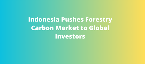 Indonesia Pushes Forestry Carbon Market to Global Investors