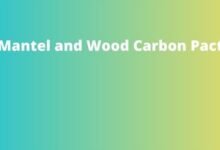 Mantel and Wood Carbon Pact