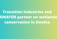 Transition Industries and CONAFOR partner on wetlands conservation in Sinaloa