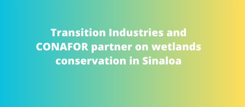Transition Industries and CONAFOR partner on wetlands conservation in Sinaloa
