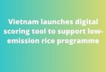 Vietnam launches digital scoring tool to support low-emission rice programme