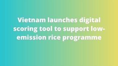 Vietnam launches digital scoring tool to support low-emission rice programme