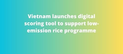 Vietnam launches digital scoring tool to support low-emission rice programme