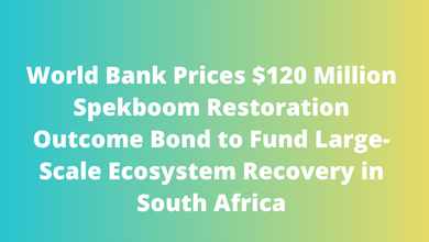 World Bank Prices $120 Million Spekboom Restoration Outcome Bond to Fund Large-Scale Ecosystem Recovery in South Africa