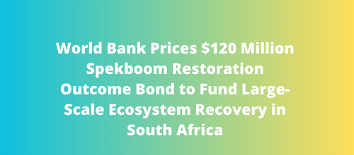 World Bank Prices $120 Million Spekboom Restoration Outcome Bond to Fund Large-Scale Ecosystem Recovery in South Africa
