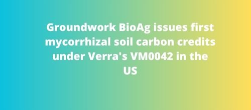 Groundwork BioAg issues first mycorrhizal soil carbon credits under Verra's VM0042 in the US